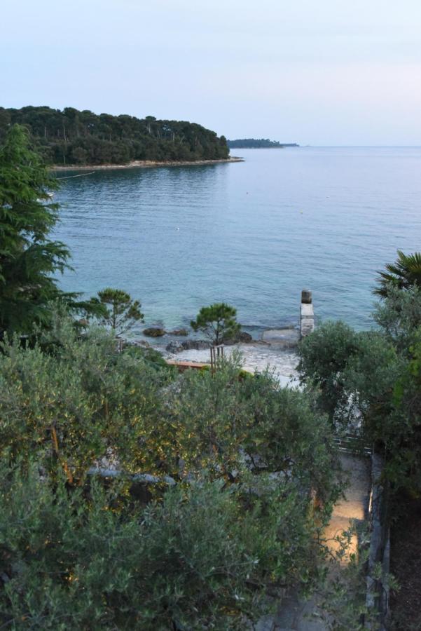 Buric House - M Suite - 95M2 And 54 M2 Terrace Rovinj Exterior photo